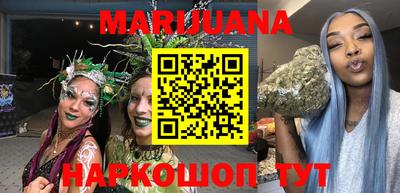 спиды Гай