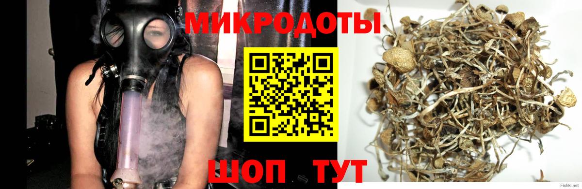 Галлюциногенные грибы ЛСД Белгород