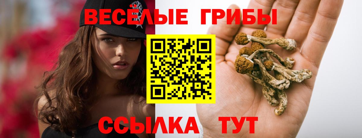 Галлюциногенные грибы Magic Shrooms  Вход с VPN  Псилоцибиновые грибы ЛСД  Белгород 